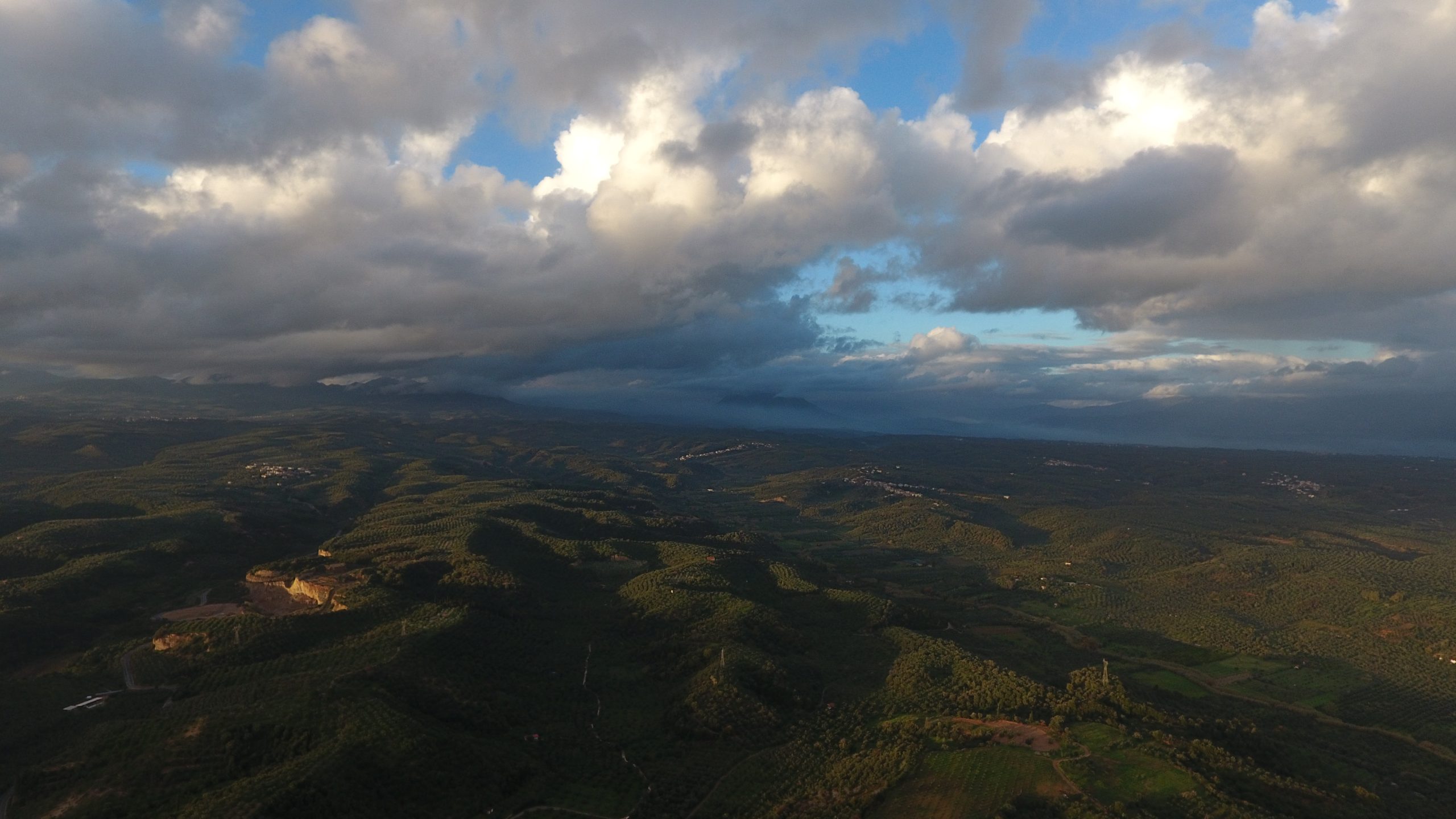Messinian Fields
